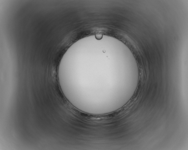 X0000112750557200908201015