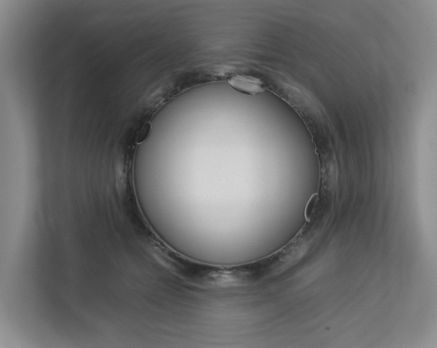 X0000112750558200908201015