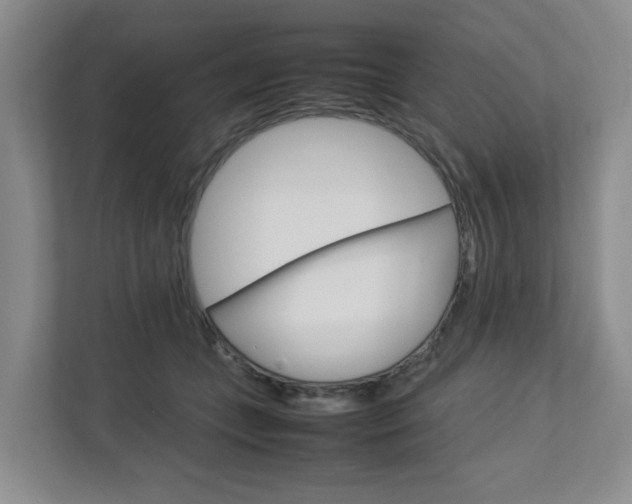 X0000112750559200908201015