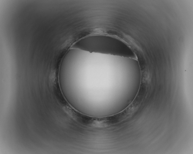 X0000112750560200908201015