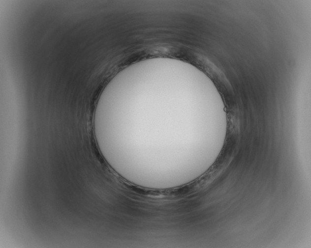 X0000112750561200908201015