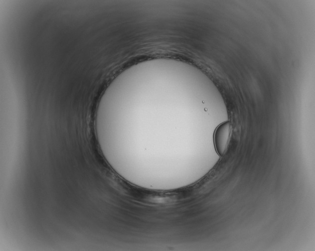 X0000112750563200908201015