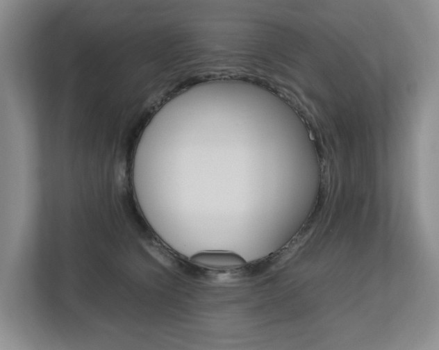 X0000112750564200908201015