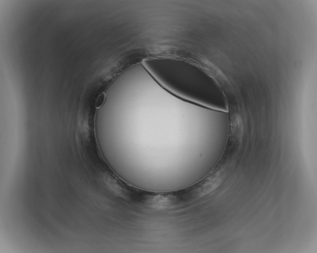 X0000112750566200908201015