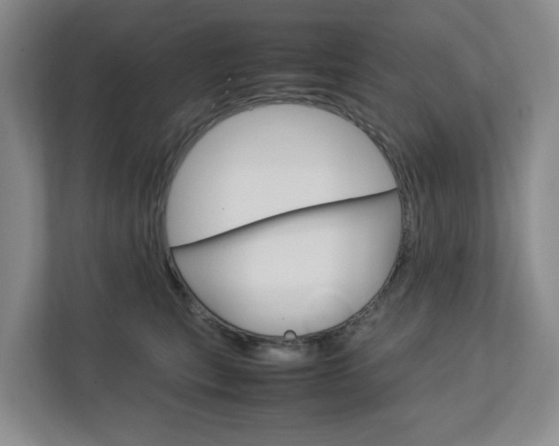 X0000112750567200908201015