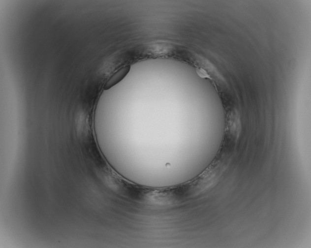 X0000112750568200908201015