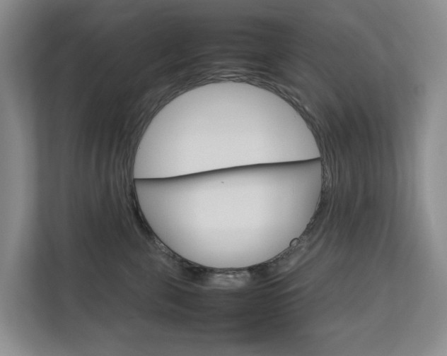 X0000112750571200908201016
