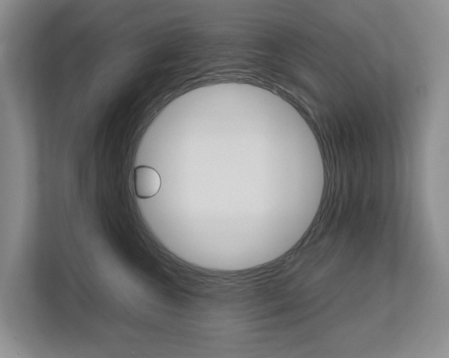 X0000112750572200908201016