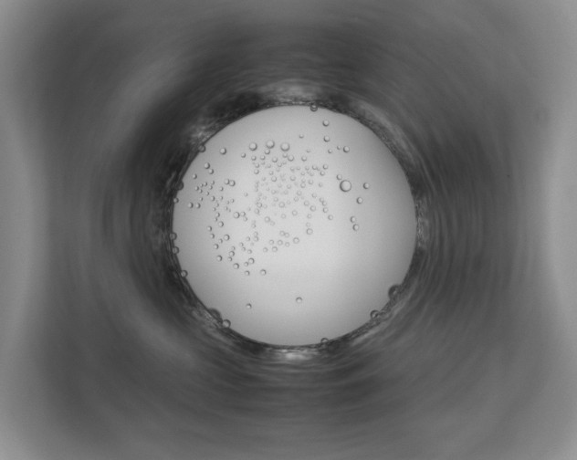 X0000112750573200908201016