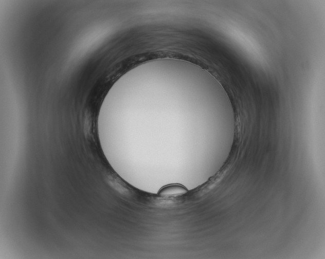 X0000112750574200908201016
