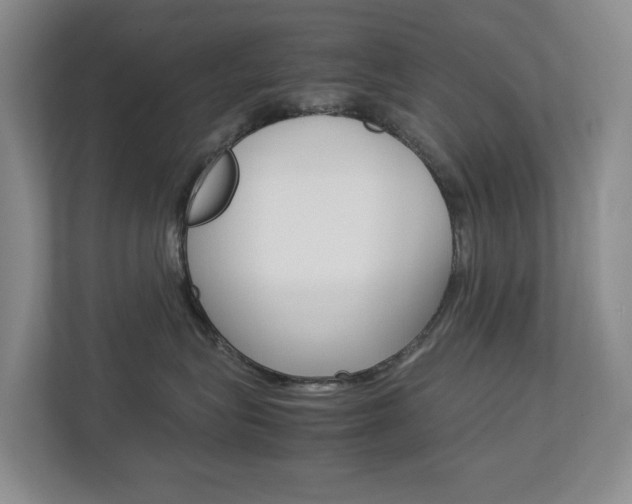X0000112750575200908201016