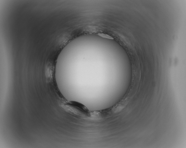 X0000112750576200908201016