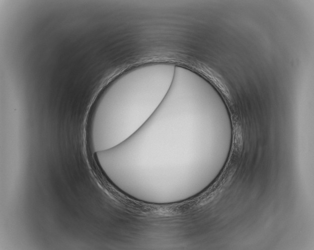 X0000112750578200908201015