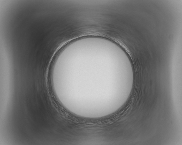 X0000112750579200908201015