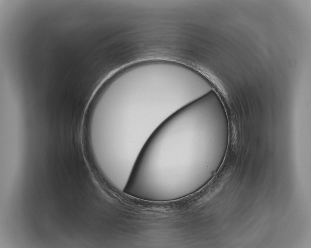 X0000112750580200908201015