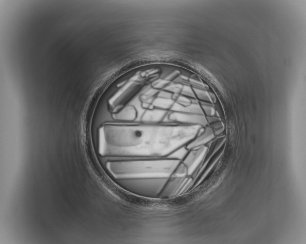 X0000112750581200908201015
