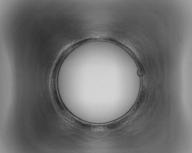 X0000112750587200908201015