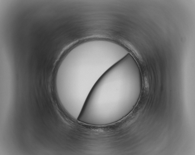 X0000112750588200908201015