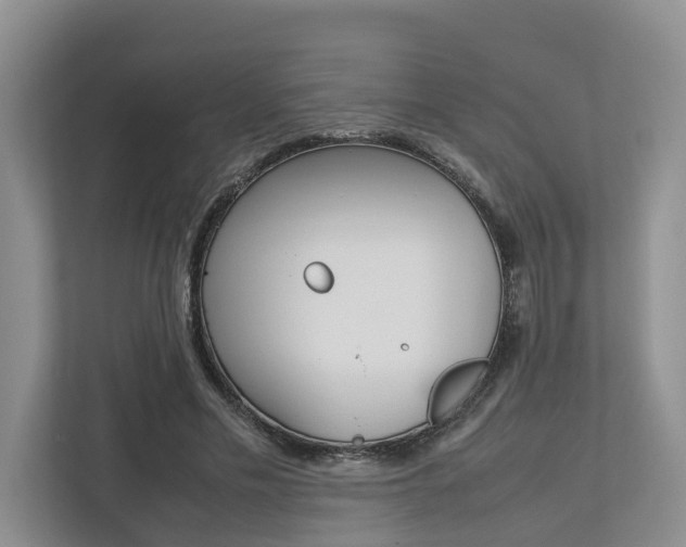 X0000112750589200908201015