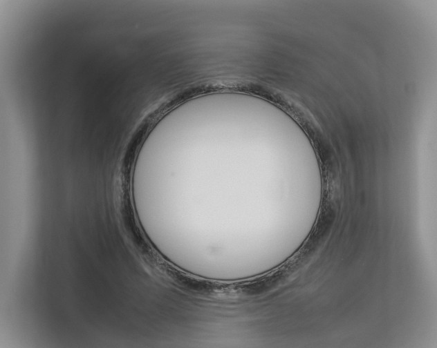 X0000112750591200908201015