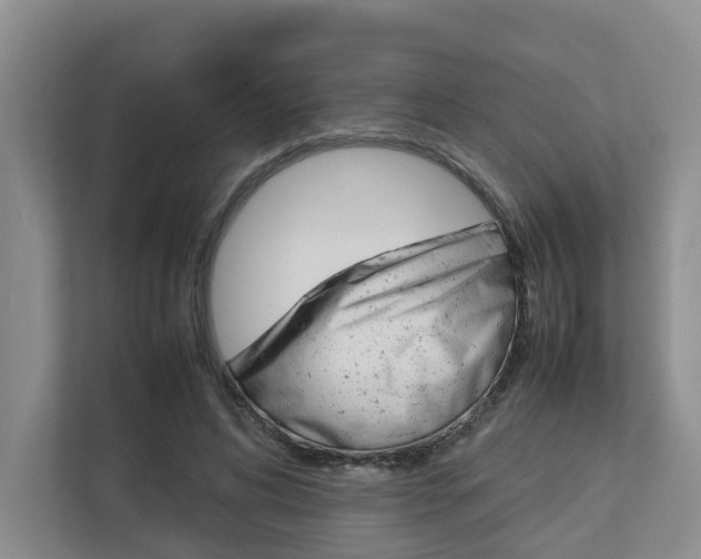 X0000112750592200908201015