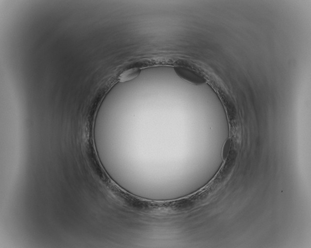 X0000112750593200908201015