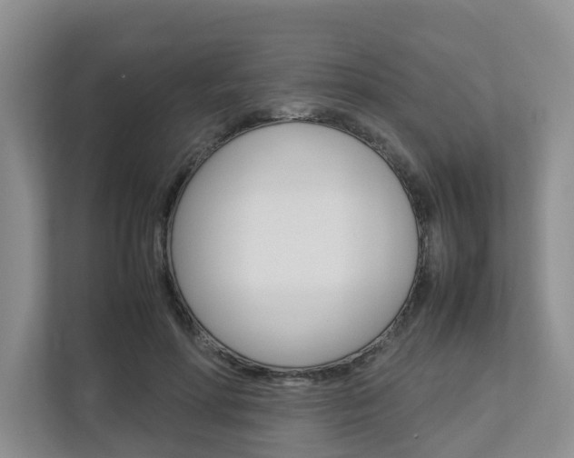 X0000112750598200908201015