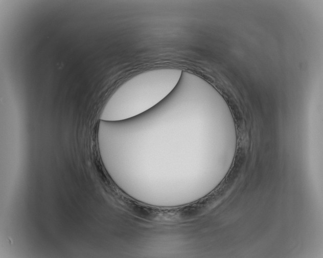 X0000112750599200908201015