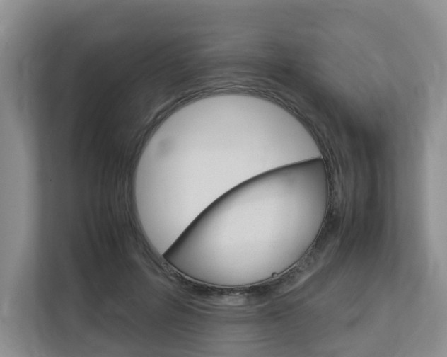 X0000112750600200908201015