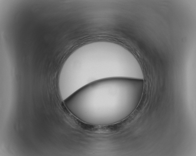 X0000112750601200908201015