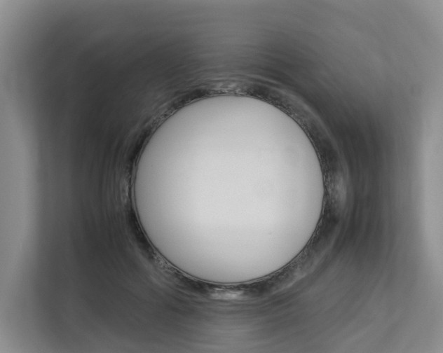 X0000112750602200908201015