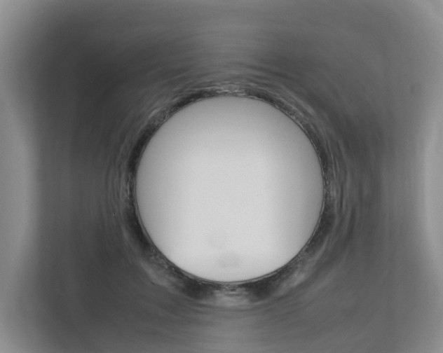 X0000112750603200908201015