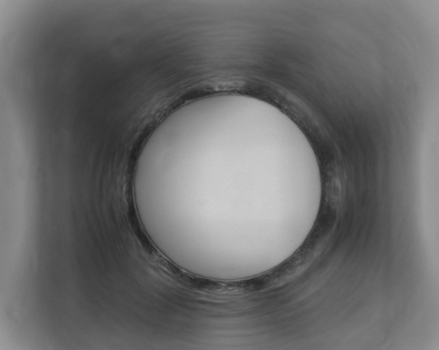 X0000112750604200908201015