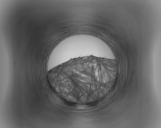 X0000112750605200908201015