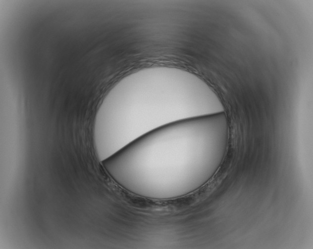 X0000112750608200908201015