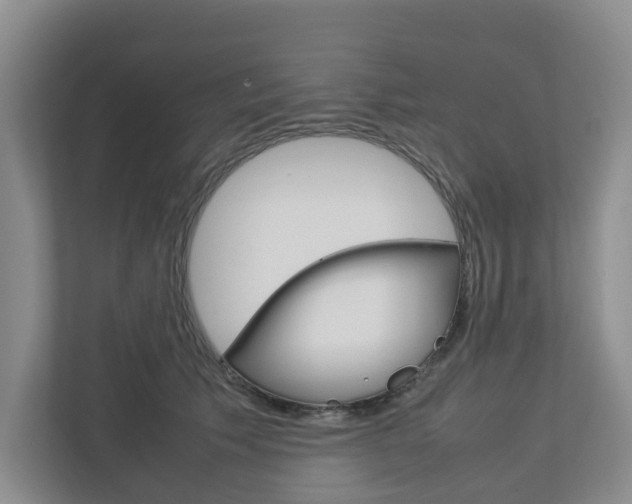 X0000112750609200908201015