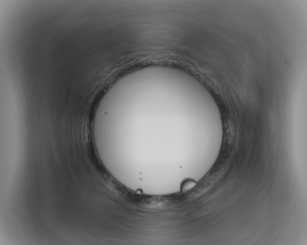 X0000112750612200908201015