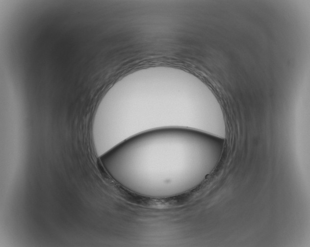 X0000112750613200908201014