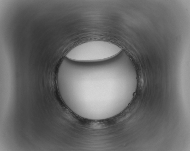 X0000112750616200908201014
