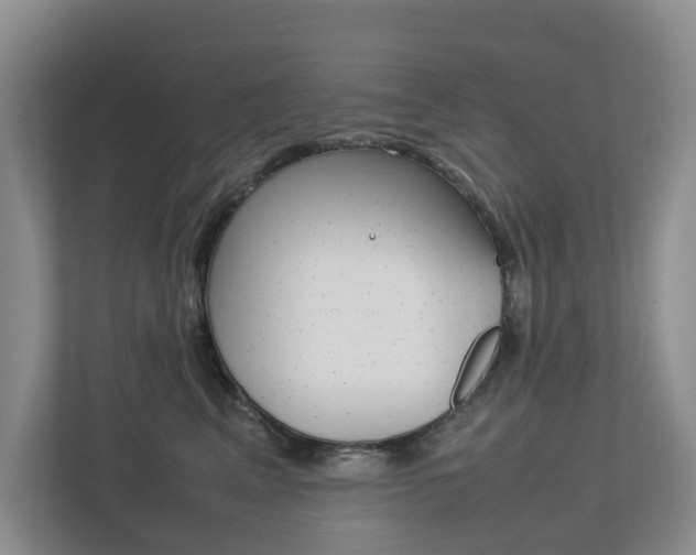 X0000112750617200908201014