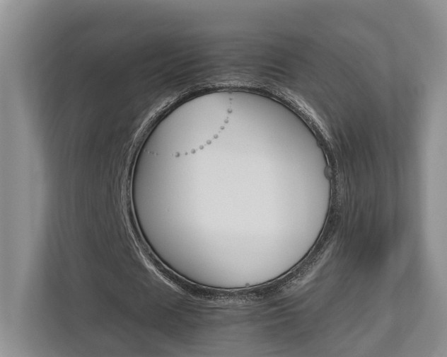 X0000112750625200908201014