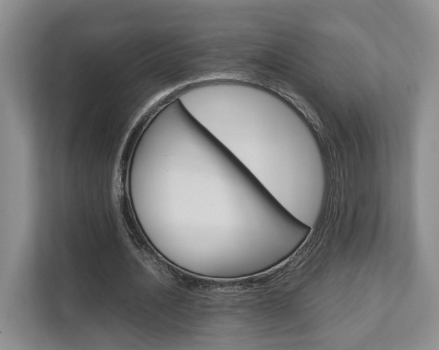 X0000112750628200908201014
