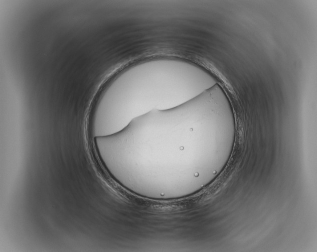 X0000112750629200908201014