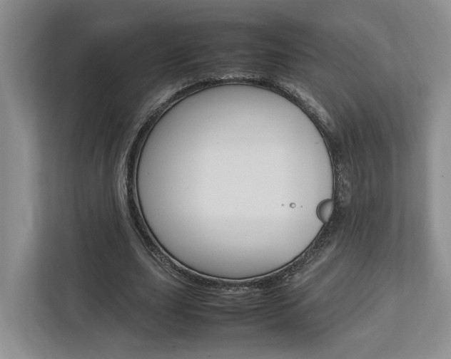 X0000112750631200908201014