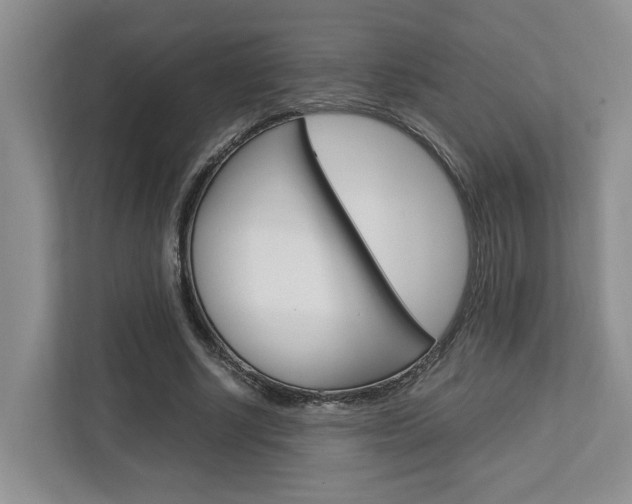 X0000112750634200908201014