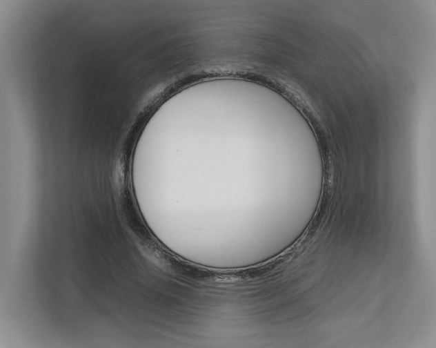 X0000112750636200908201014