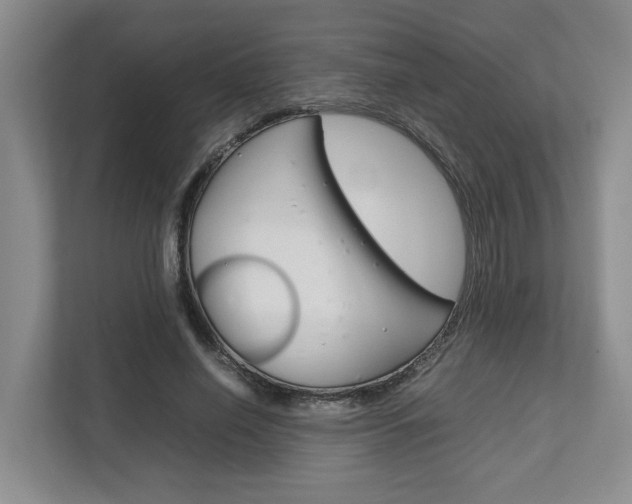 X0000112750638200908201014