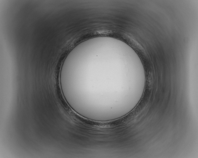 X0000112750639200908201014