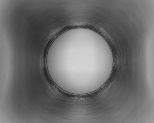 X0000112750640200908201014