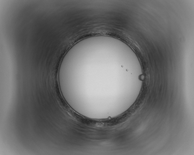 X0000112750641200908201014